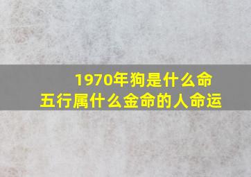 1970年狗是什么命五行属什么金命的人命运