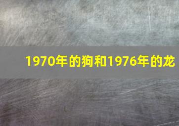 1970年的狗和1976年的龙