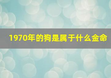 1970年的狗是属于什么金命