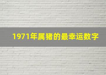 1971年属猪的最幸运数字