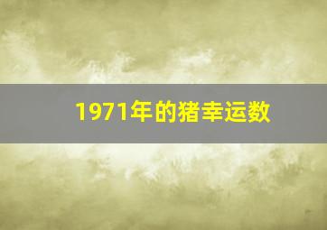 1971年的猪幸运数