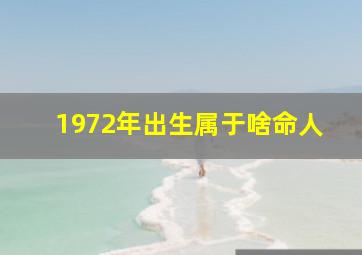 1972年出生属于啥命人