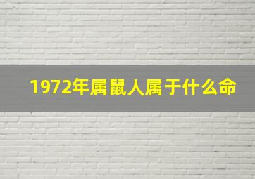 1972年属鼠人属于什么命