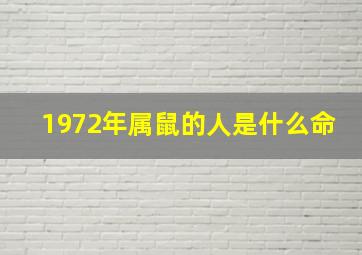 1972年属鼠的人是什么命