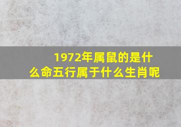 1972年属鼠的是什么命五行属于什么生肖呢