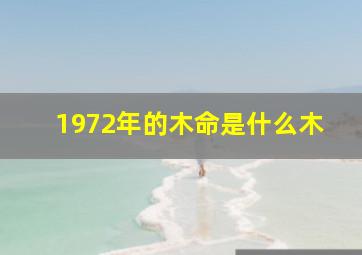 1972年的木命是什么木