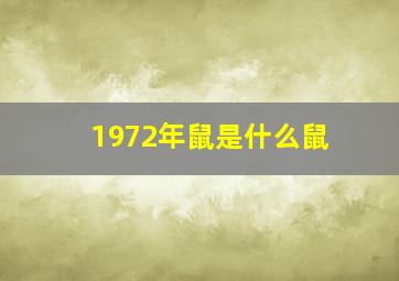 1972年鼠是什么鼠