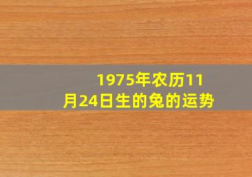 1975年农历11月24日生的兔的运势