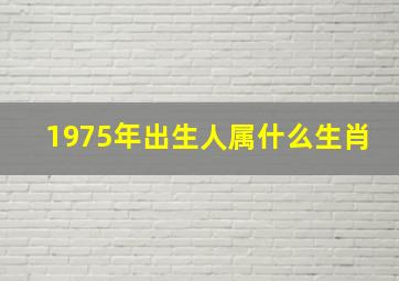 1975年出生人属什么生肖