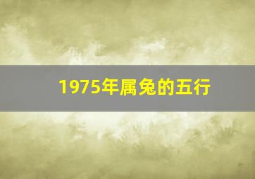 1975年属兔的五行