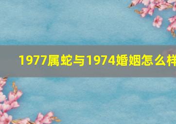 1977属蛇与1974婚姻怎么样