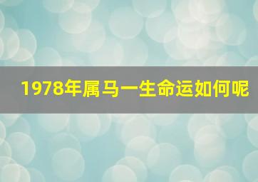 1978年属马一生命运如何呢