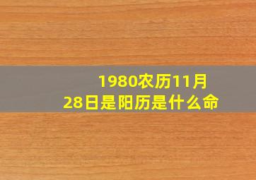 1980农历11月28日是阳历是什么命