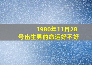 1980年11月28号出生男的命运好不好