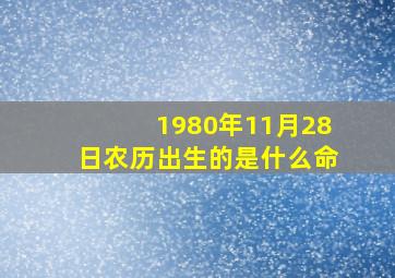 1980年11月28日农历出生的是什么命