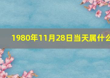 1980年11月28日当天属什么