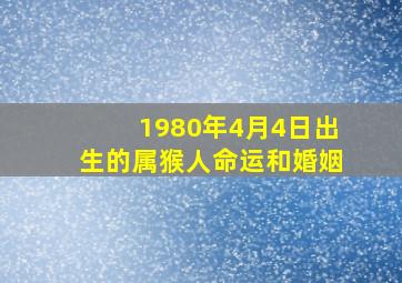 1980年4月4日出生的属猴人命运和婚姻