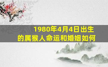 1980年4月4日出生的属猴人命运和婚姻如何