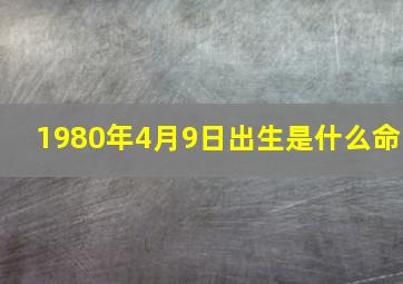 1980年4月9日出生是什么命