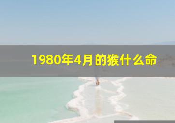 1980年4月的猴什么命