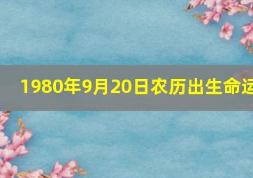 1980年9月20日农历出生命运