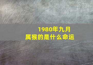 1980年九月属猴的是什么命运