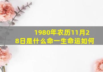 1980年农历11月28日是什么命一生命运如何