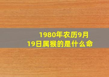 1980年农历9月19日属猴的是什么命