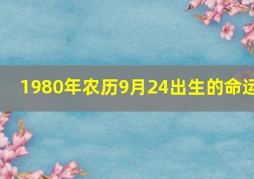 1980年农历9月24出生的命运