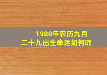 1980年农历九月二十九出生命运如何呢