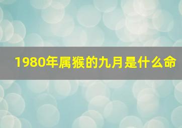 1980年属猴的九月是什么命