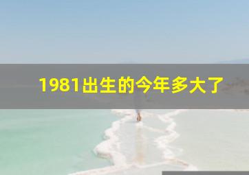 1981出生的今年多大了