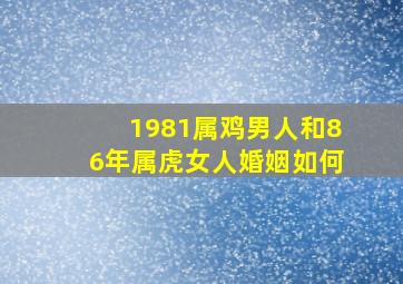 1981属鸡男人和86年属虎女人婚姻如何