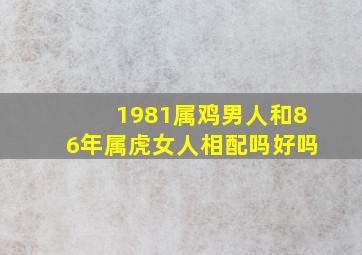 1981属鸡男人和86年属虎女人相配吗好吗