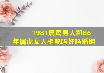 1981属鸡男人和86年属虎女人相配吗好吗婚姻