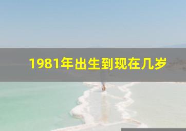 1981年出生到现在几岁