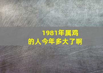 1981年属鸡的人今年多大了啊