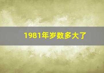 1981年岁数多大了