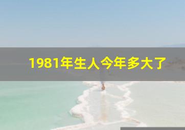 1981年生人今年多大了