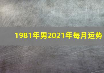 1981年男2021年每月运势