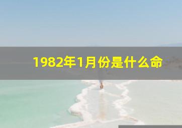 1982年1月份是什么命