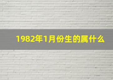 1982年1月份生的属什么