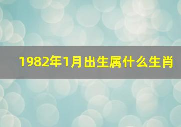 1982年1月出生属什么生肖