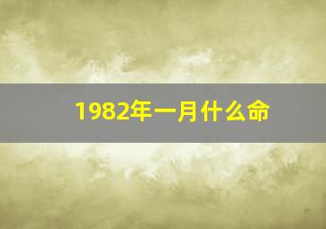 1982年一月什么命