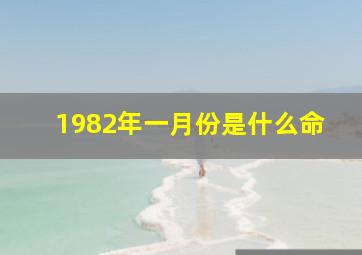 1982年一月份是什么命