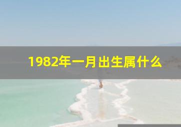 1982年一月出生属什么