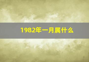 1982年一月属什么