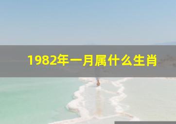 1982年一月属什么生肖