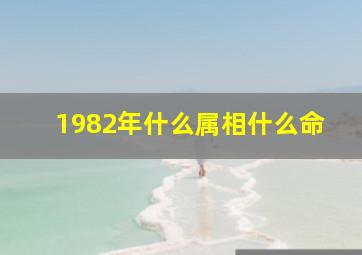 1982年什么属相什么命