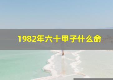 1982年六十甲子什么命